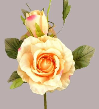 33015 - Blossoming Soft Peach roses in a lovely floral arrangement accompanied with lush green leaves. Floral Pick.  Height  21cms,  Width  15cms  (approx)